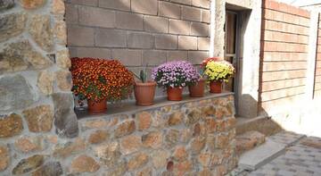 Фотографии Гостиница Sg Hostel г. Ялта Крым (Россия) №3 Фото Гостиница Sg Hostel г. Ялта 3