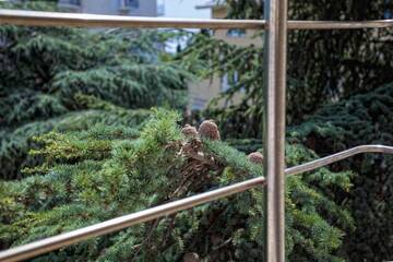 Фото номера Апартаменты в пентхаусе Гостиница na Volodarskogo г. Ялта 3