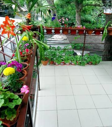 Фото номера Апартаменты-студио Апартаменты Guesthouse Dmitrieva г. Ялта 6