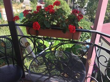 Фото номера Номер-студия с террасой Гостиница Guest House Spendiarova г. Ялта 3